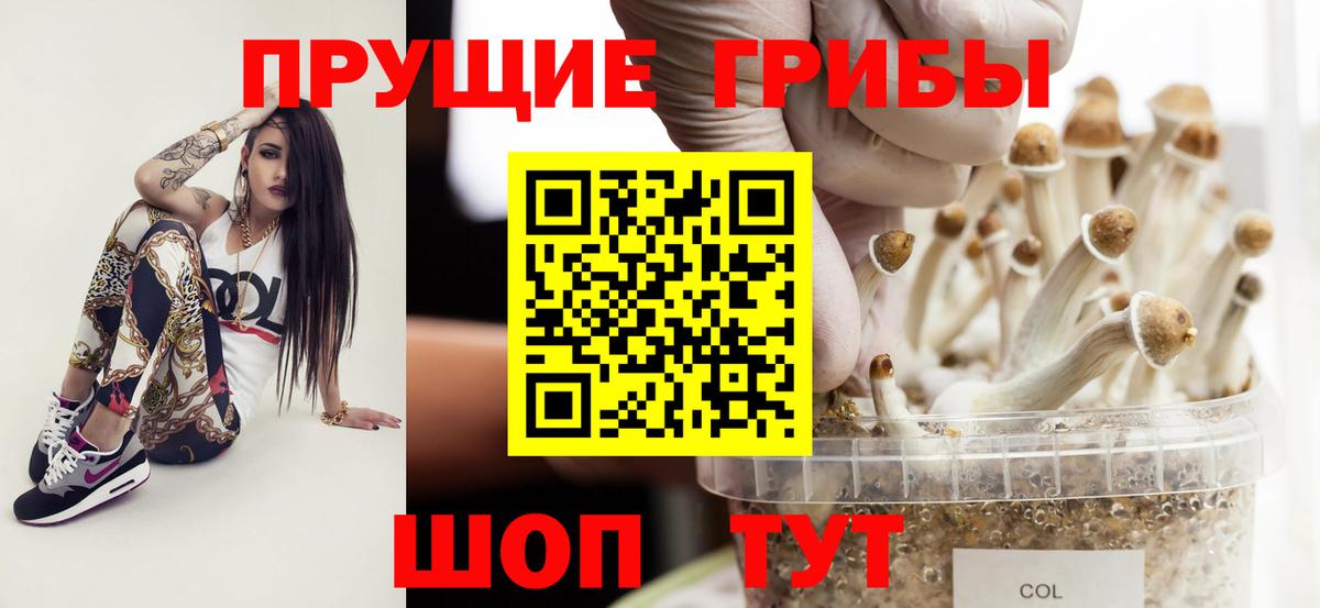 Галлюциногенные грибы прущие грибы  Вход с VPN  Холмск 
