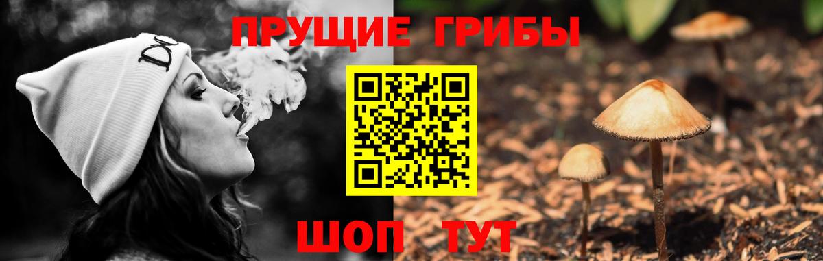 Галлюциногенные грибы MAGIC MUSHROOMS Холмск